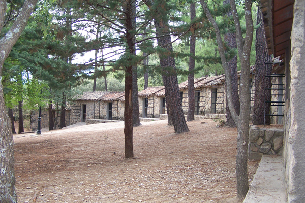 Cabins-1